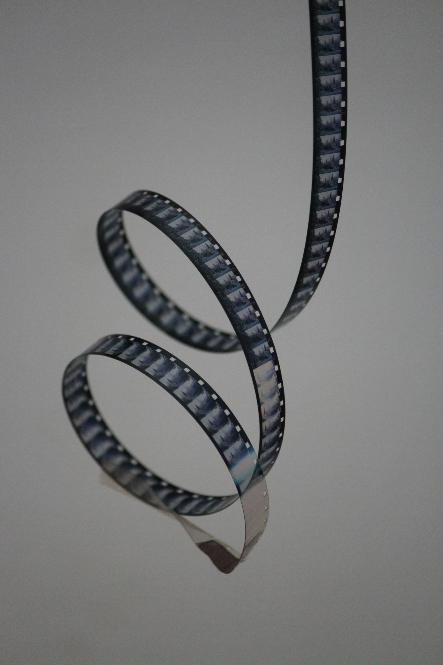 Why Unique Perspectives Matter in Film